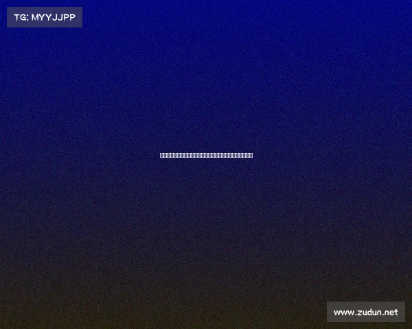 二零一九巴西足球甲级联赛激情赛季全面回顾与经典时刻重温